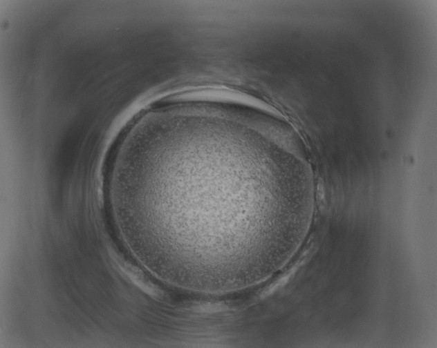 X0000086280246200704051342