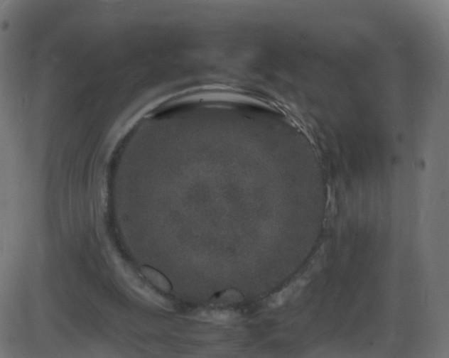 X0000086280247200704051342