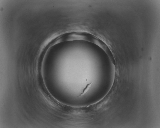 X0000086280248200704051342