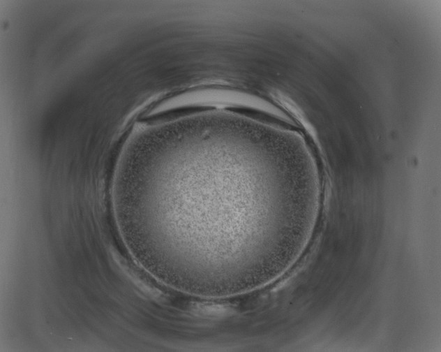 X0000086280249200704051342