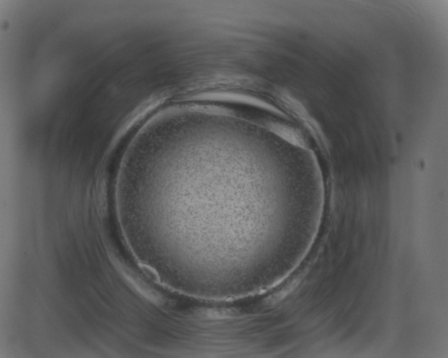 X0000086280250200704051342