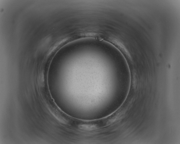 X0000086280251200704051342