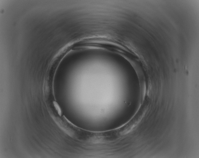 X0000086280252200704051342