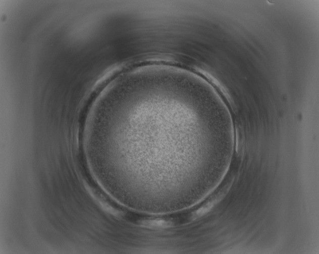 X0000086280253200704051342