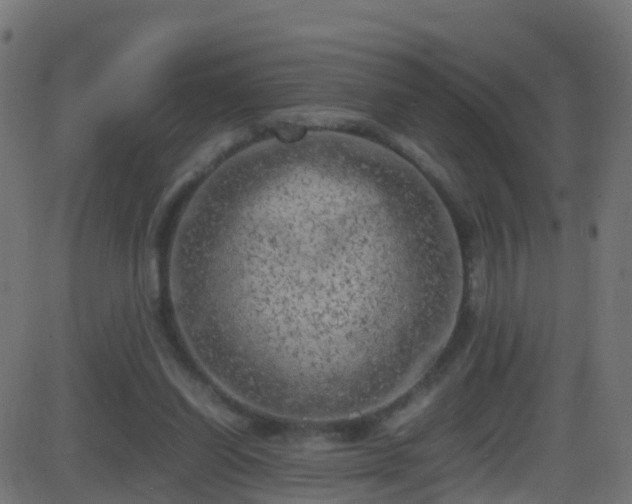 X0000086280254200704051342