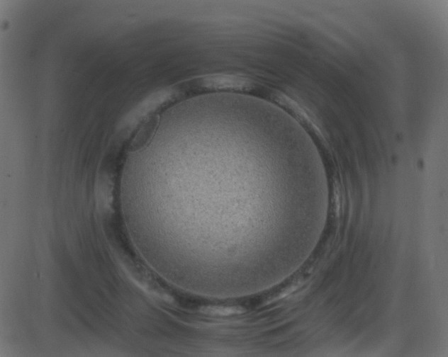 X0000086280255200704051342