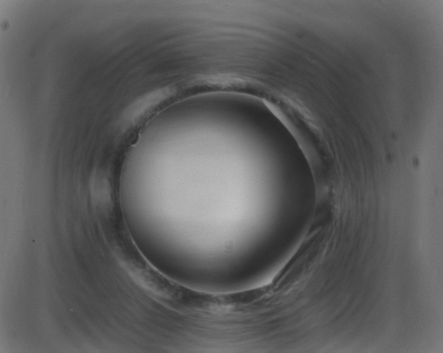 X0000086280256200704051342