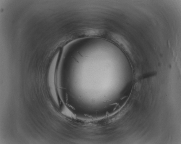 X0000086280257200704051342