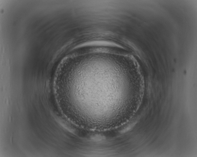 X0000086280258200704051342