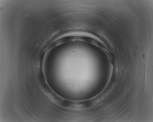 X0000086280260200704051342