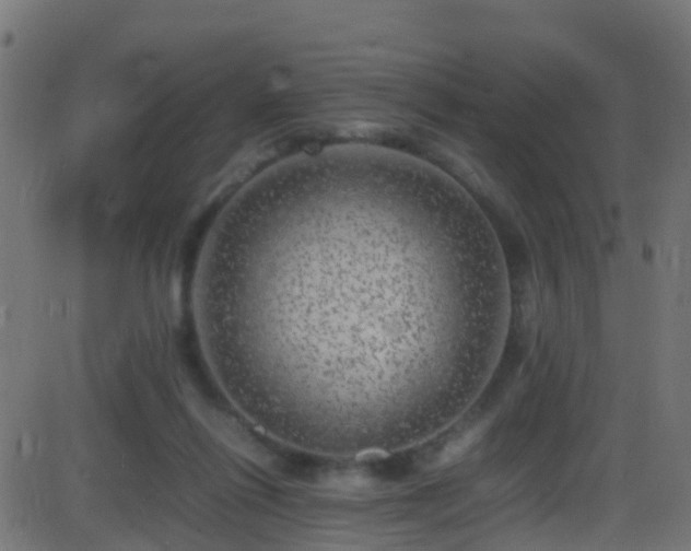 X0000086280262200704051342