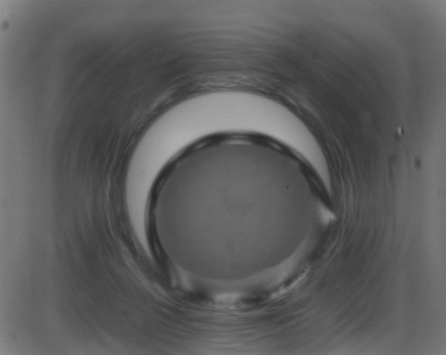 X0000086280264200704051342