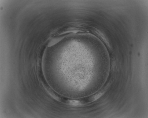 X0000086280265200704051342