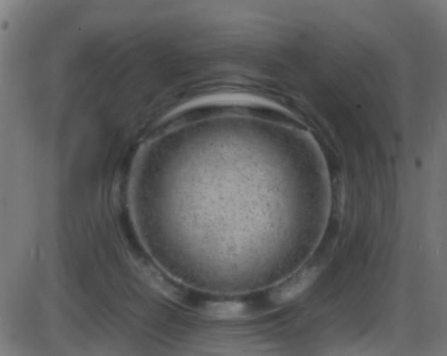 X0000086280266200704051342