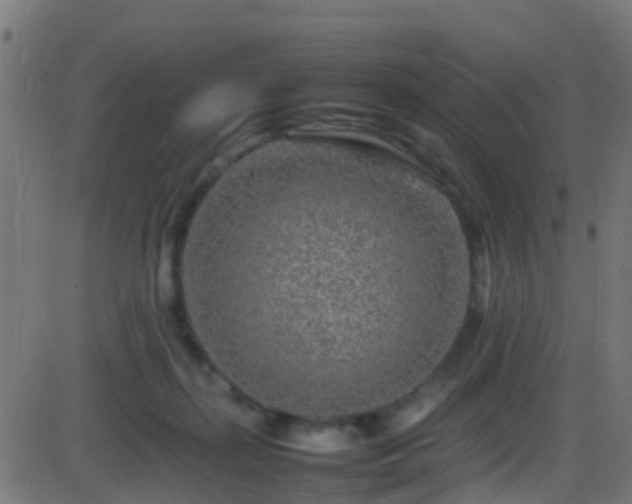 X0000086280267200704051342