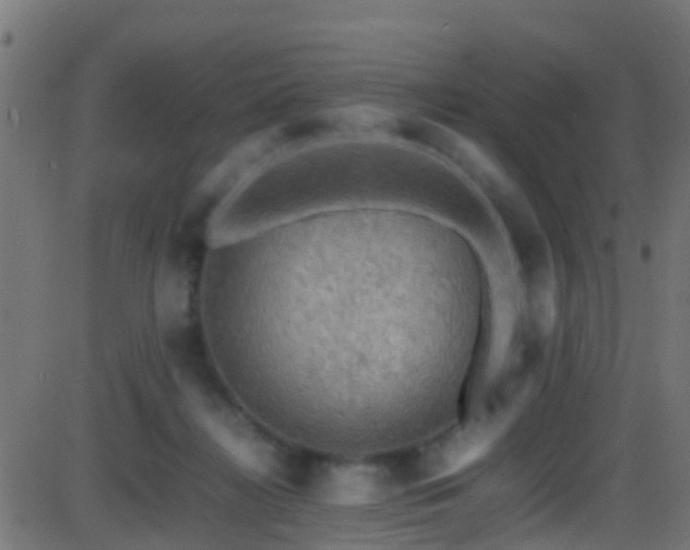 X0000086280268200704051342