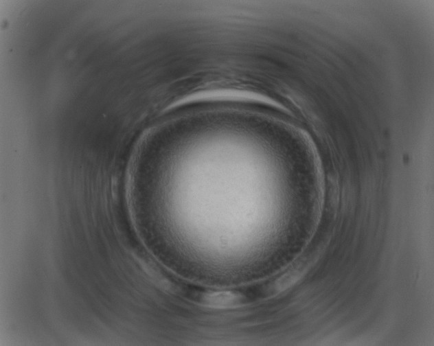 X0000086280269200704051342