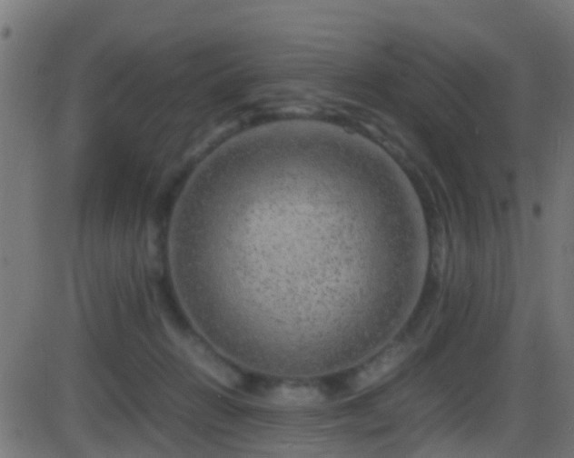 X0000086280270200704051342