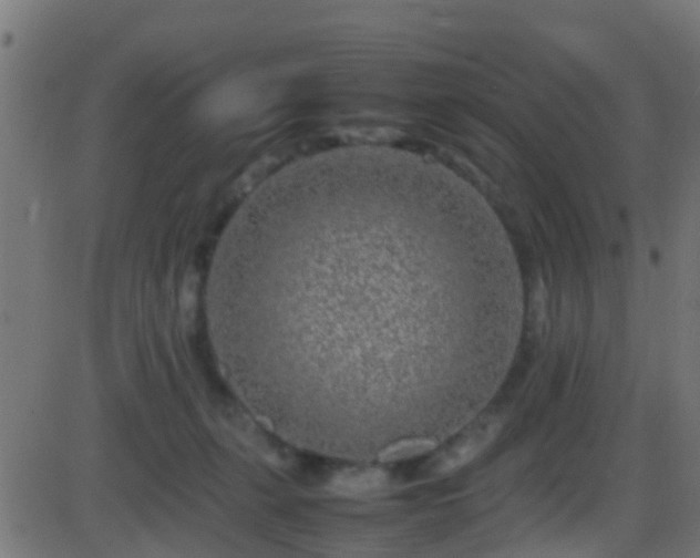 X0000086280271200704051343