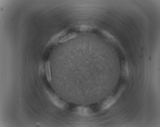 X0000086280272200704051343