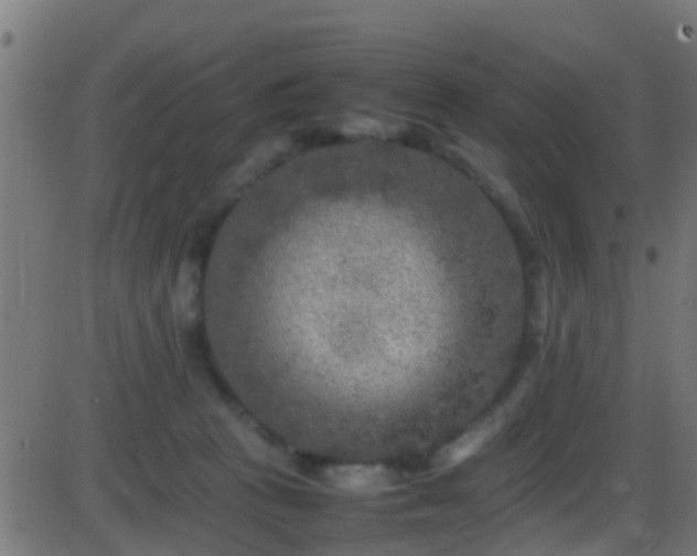 X0000086280273200704051343