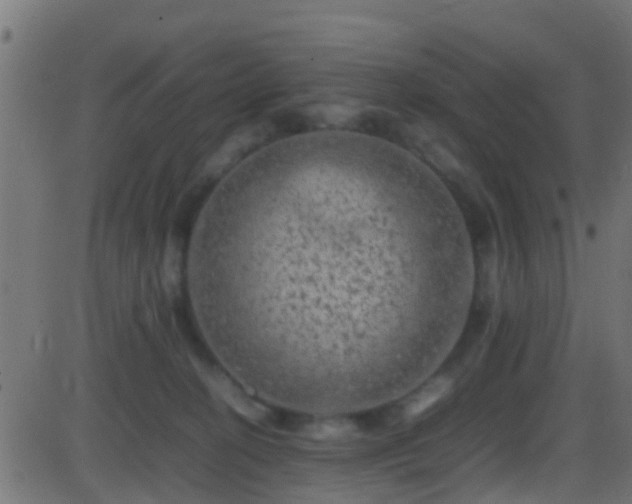 X0000086280274200704051343