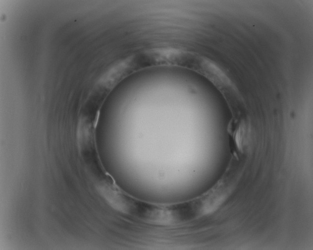 X0000086280276200704051343