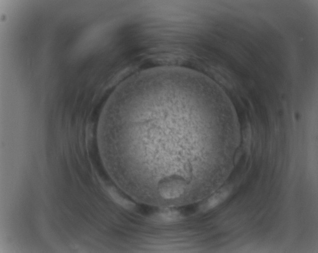 X0000086280278200704051343