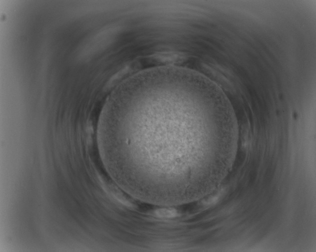 X0000086280279200704051343