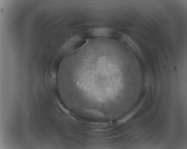 X0000086280281200704051343