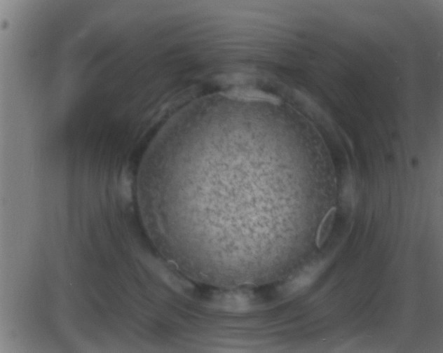 X0000086280282200704051343