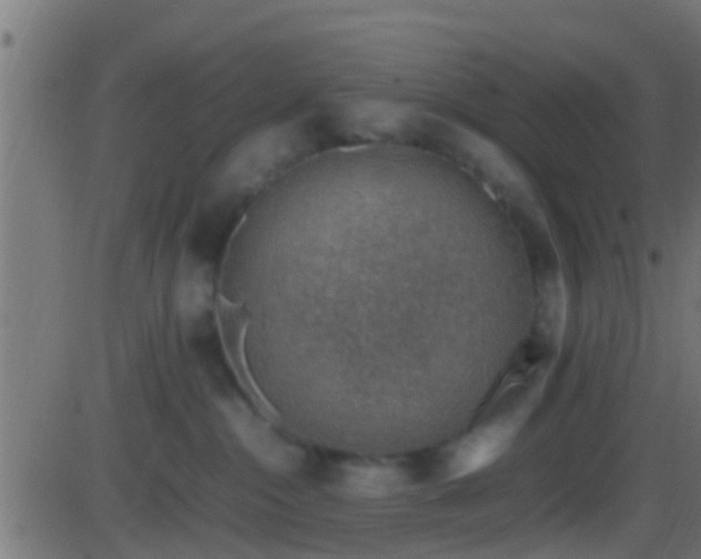 X0000086280284200704051343