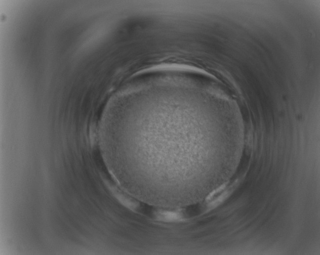 X0000086280285200704051343