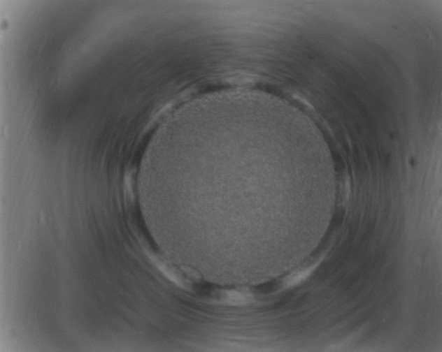 X0000086280286200704051343