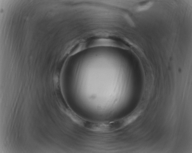 X0000086280288200704051343