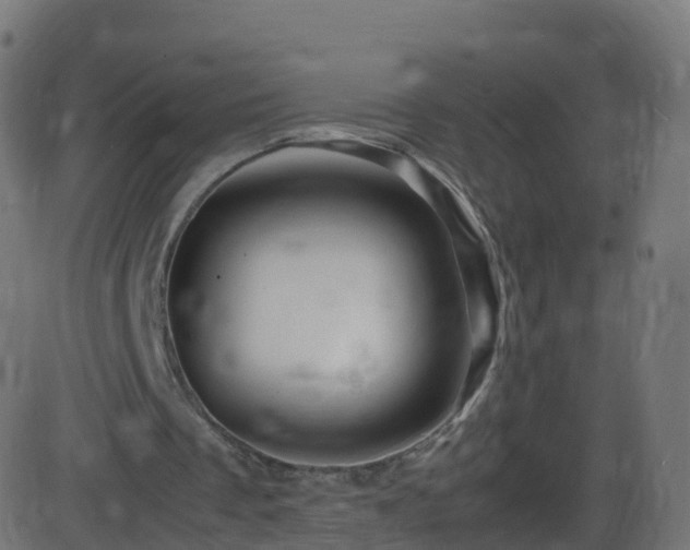 X0000086280289200704051342