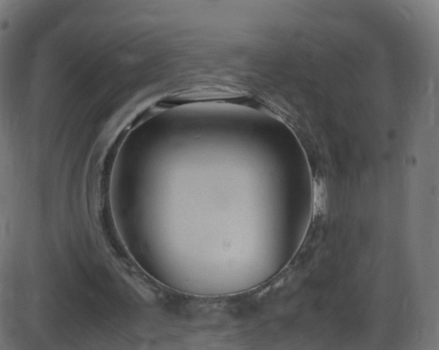 X0000086280291200704051342