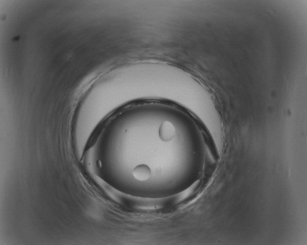 X0000086280293200704051342