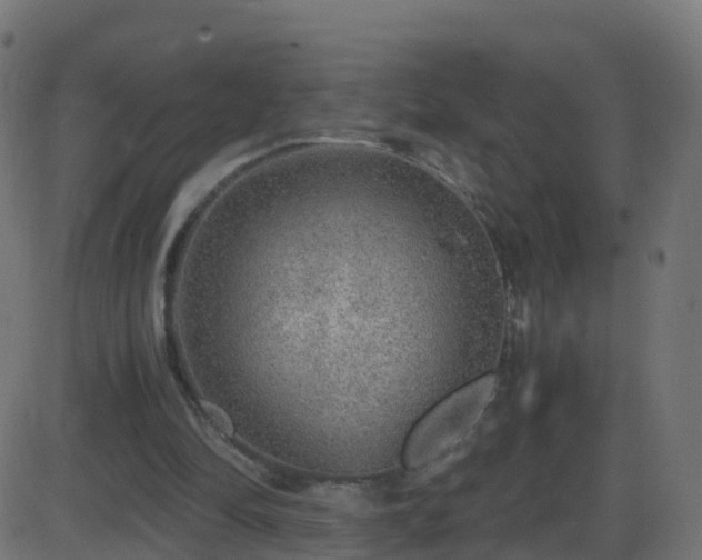 X0000086280294200704051342