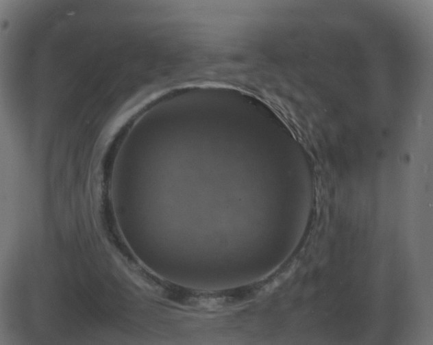 X0000086280295200704051342