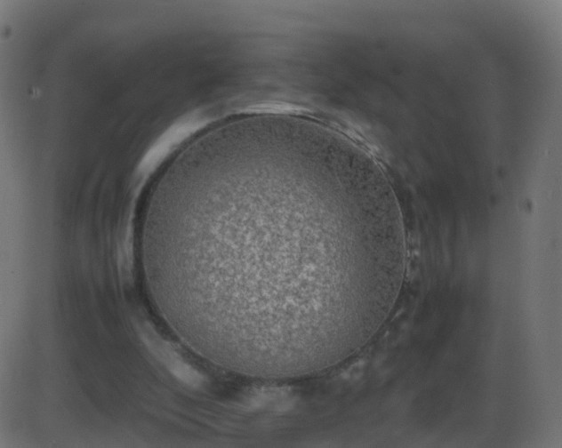 X0000086280296200704051342