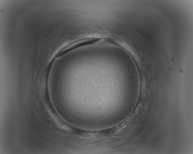 X0000086280297200704051342