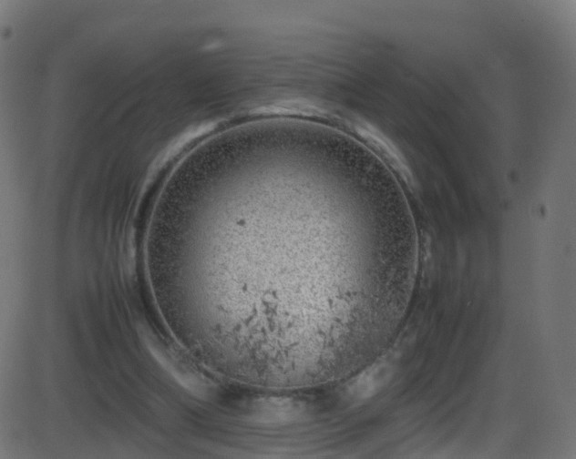 X0000086280298200704051342