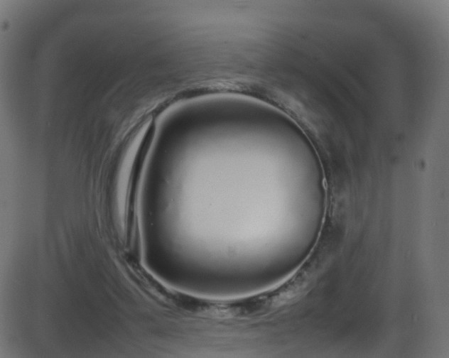 X0000086280299200704051342