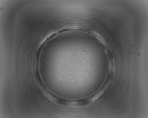 X0000086280301200704051342