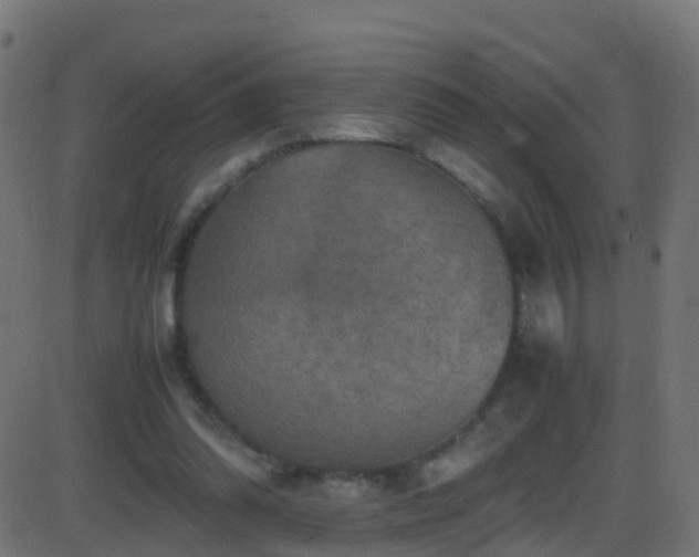 X0000086280302200704051342