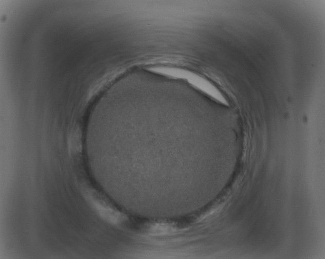 X0000086280303200704051342