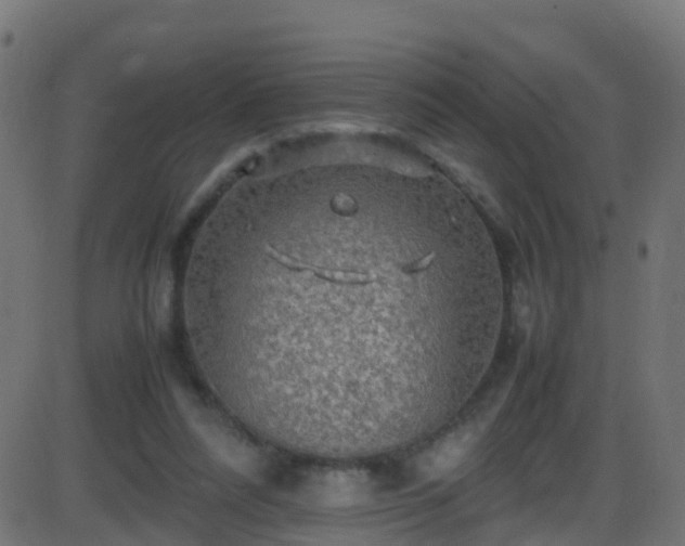 X0000086280304200704051342