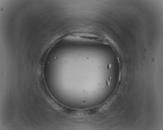 X0000086280305200704051342