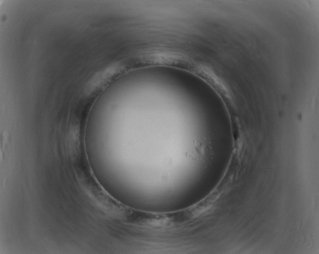 X0000086280306200704051342